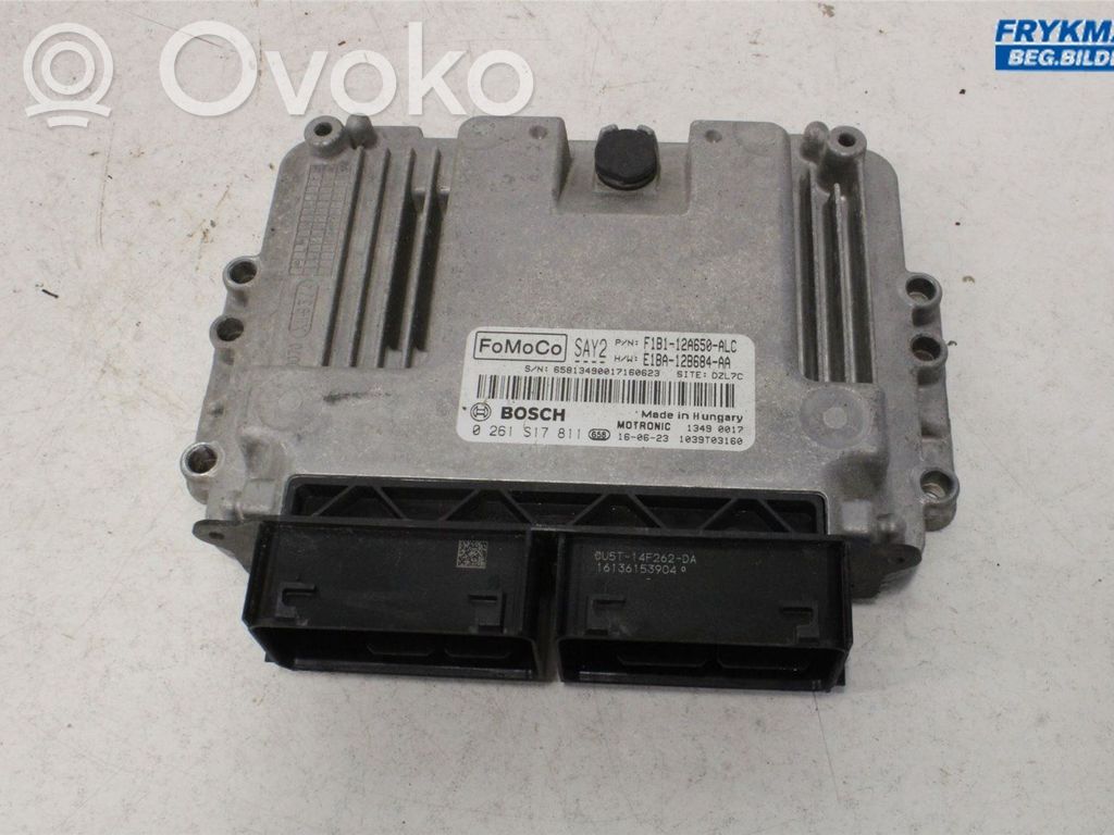 Ford Fiesta Injection control unit/module 