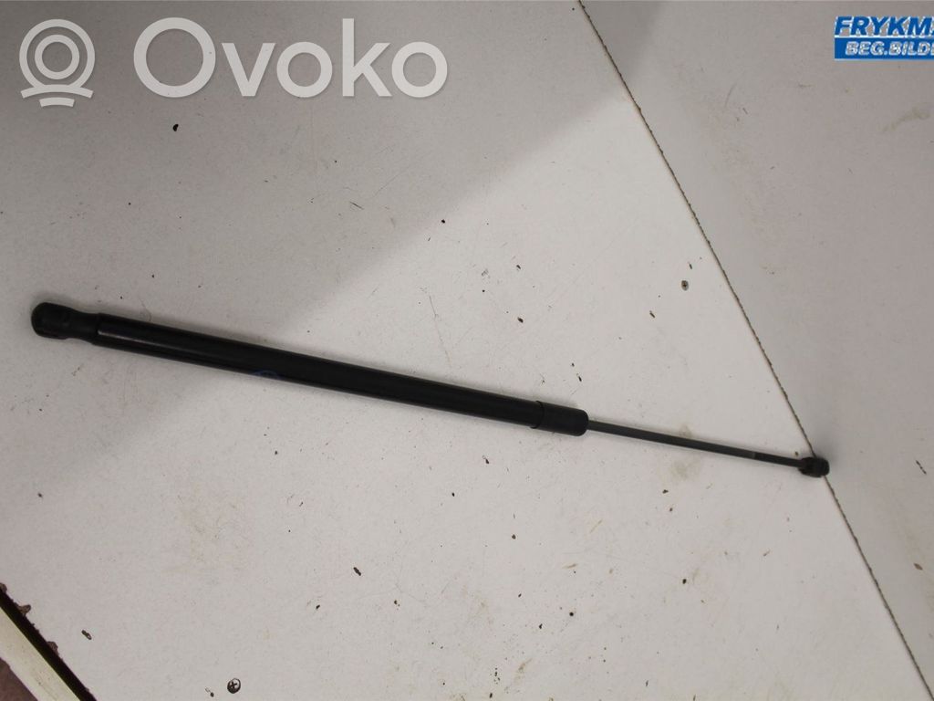 Tailgate strut   2376739