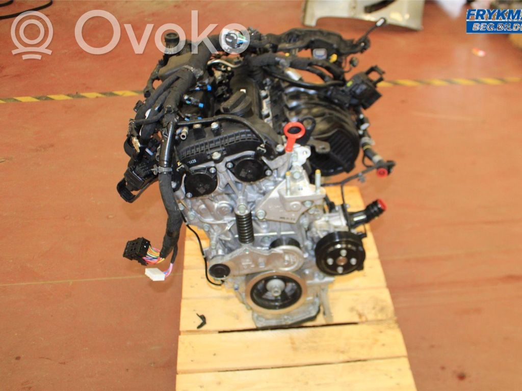 KIA Niro Motor 