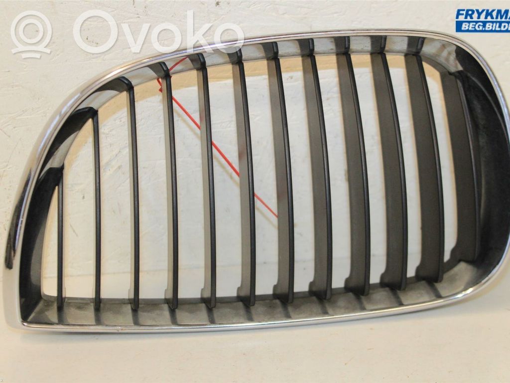 BMW 1 E81 E87 Front bumper lower grill 