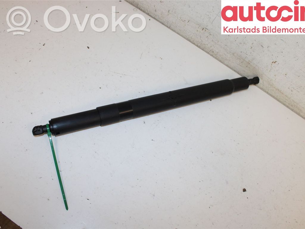 Tailgate strut   51247201940