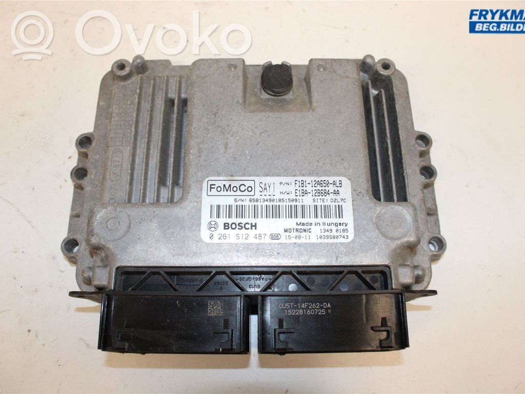 Injection control unit/module   1870841,0261S12487,F1B112A650ALB