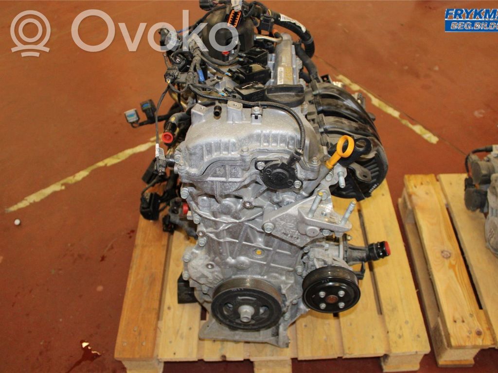KIA Niro Variklis 