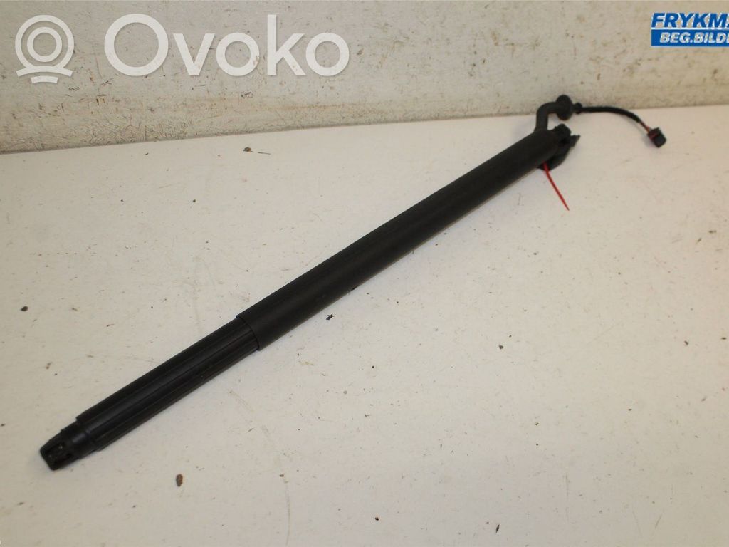 Jambe de force de hayon   81830J7210