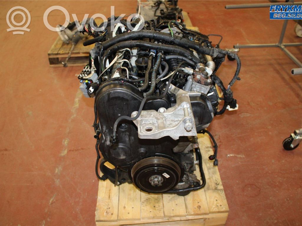 Engine   36010065