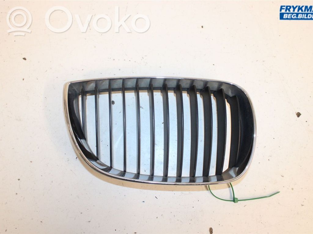 BMW 1 E81 E87 Front bumper lower grill 