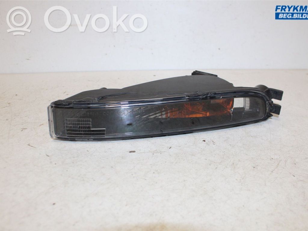 Volkswagen Beetle A5 Front indicator light 