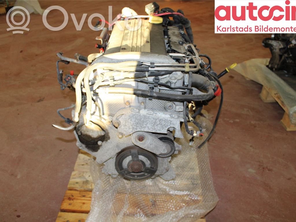 Engine   55562683
