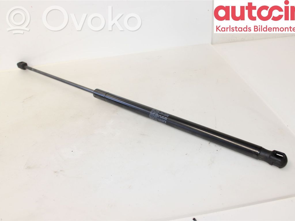 Ligier JS 50 Tailgate strut 
