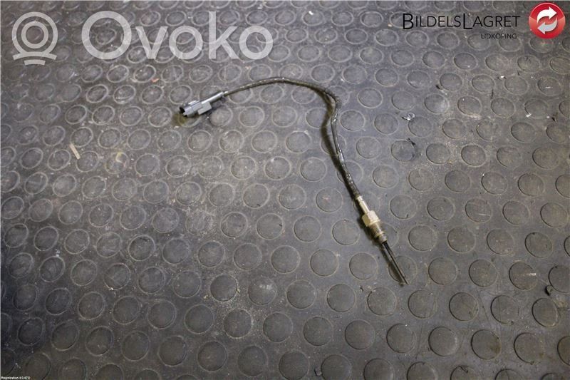 Abgastemperatursensor   392212A860