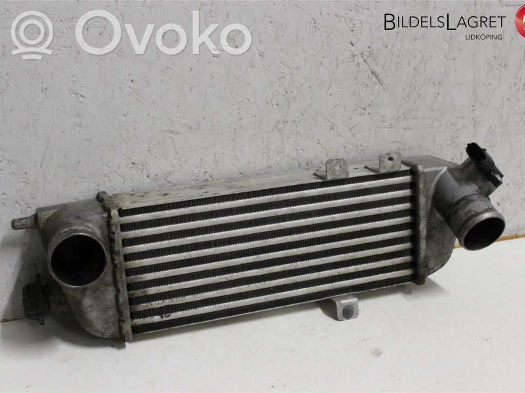 Interkūlerio radiatorius   282702A611,282712A610,282712A610