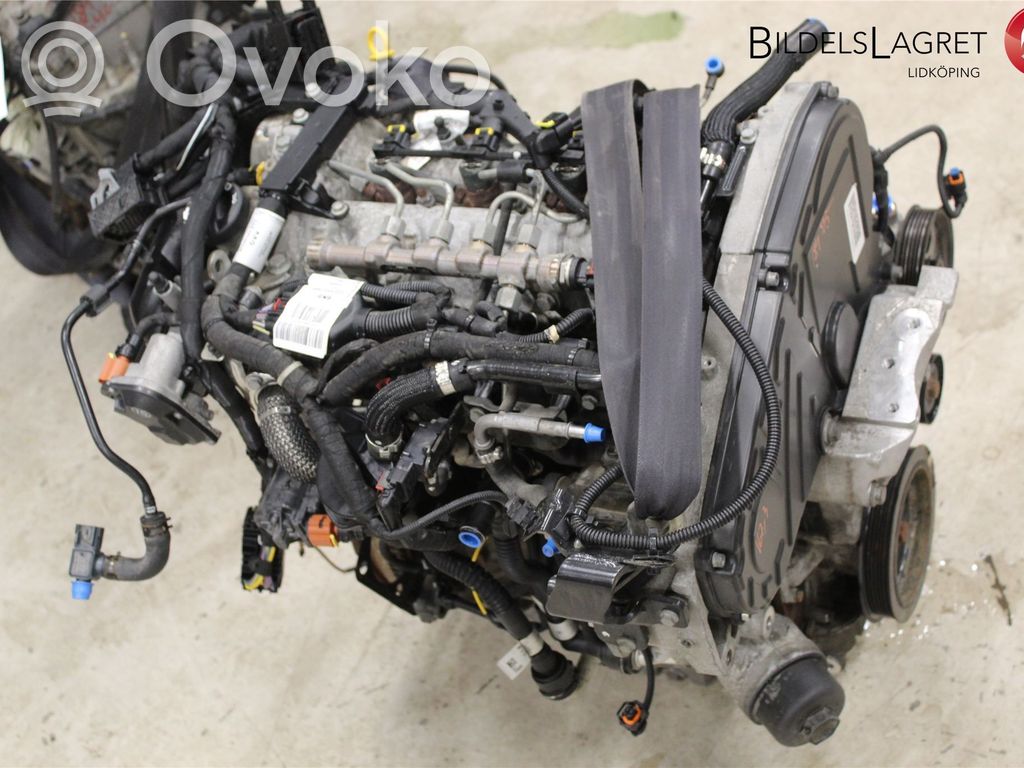 Motor   55595413