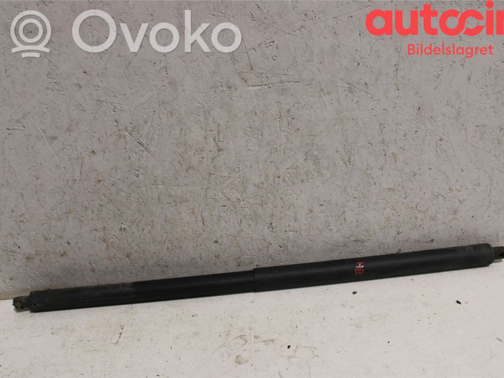 Ford Kuga II Tailgate strut 