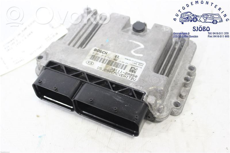 Injection control unit/module   0281018641