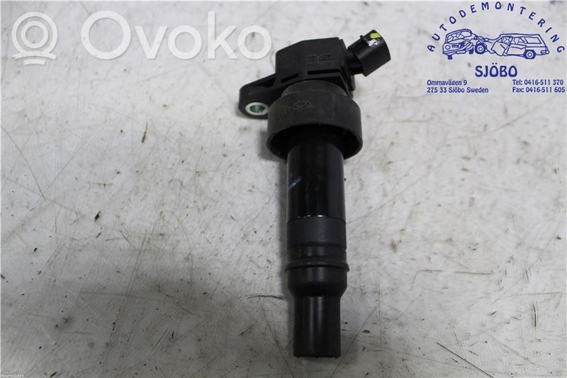 High voltage ignition coil   273012B100,273012B100