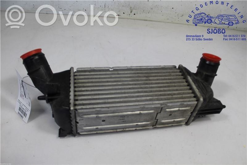 Interkūlerio radiatorius   0384G6