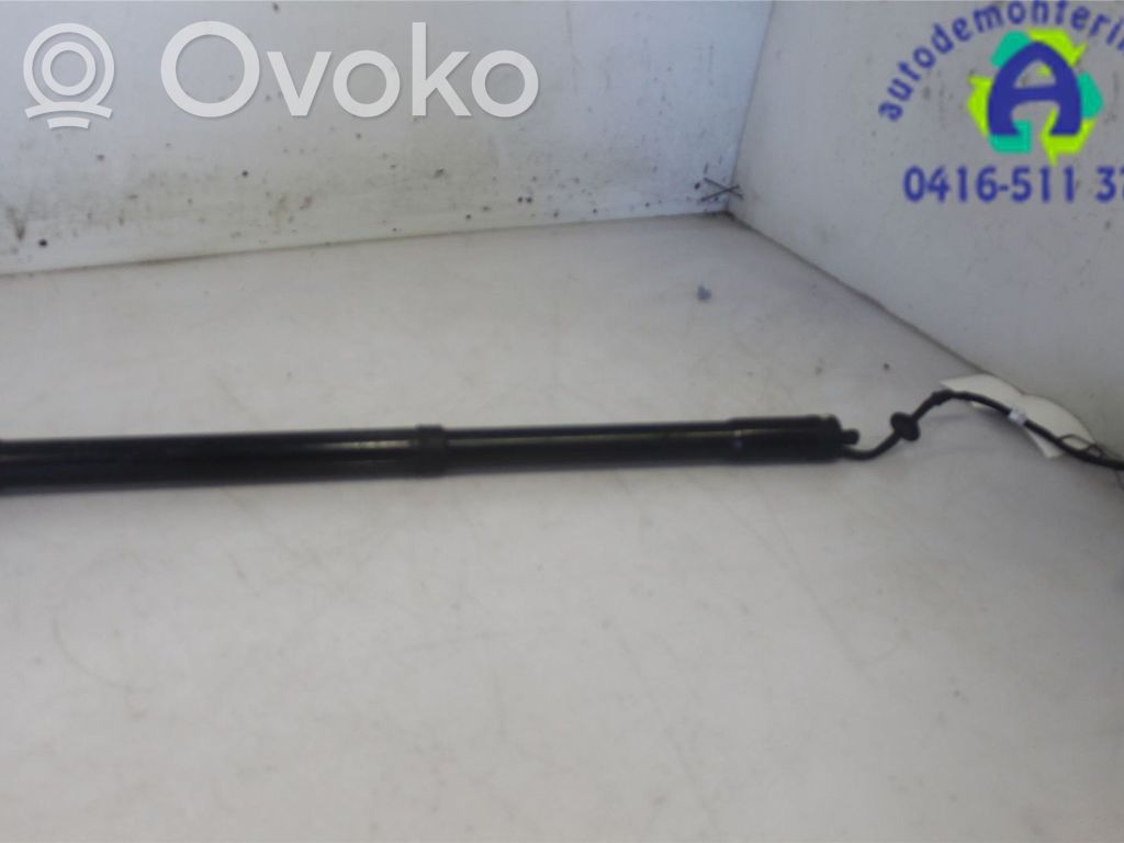 Land Rover Range Rover Evoque L538 Amortyzator klapy tylnej bagażnika 