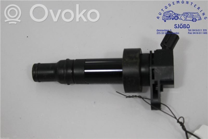 High voltage ignition coil   273012B100,273012B100,273012B100