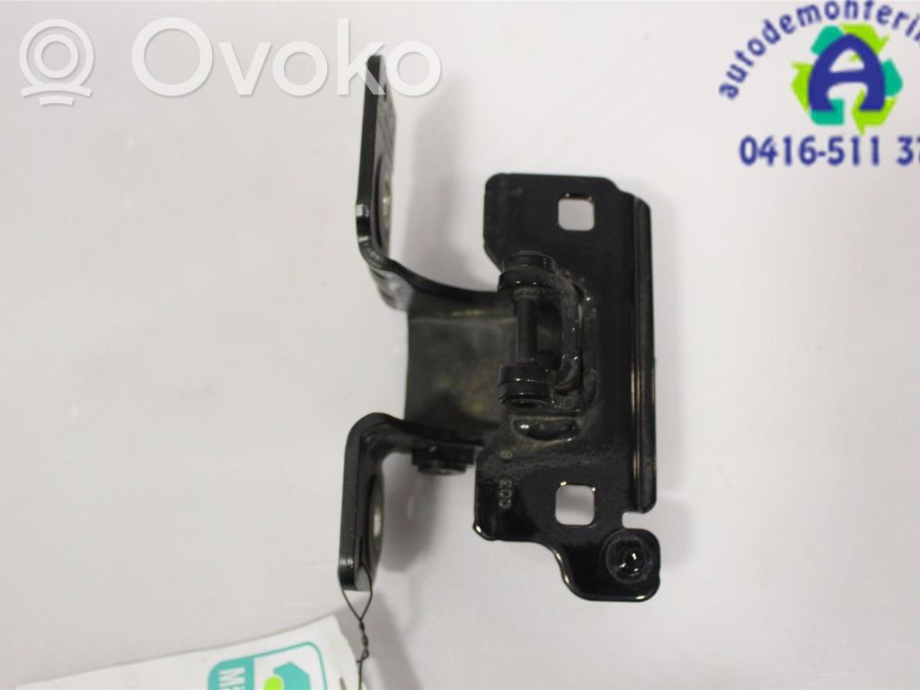 Tailgate/trunk/boot hinge   8715E8,9819992580