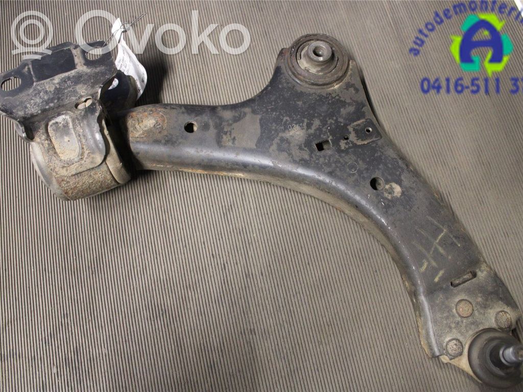 Dakša   31317662