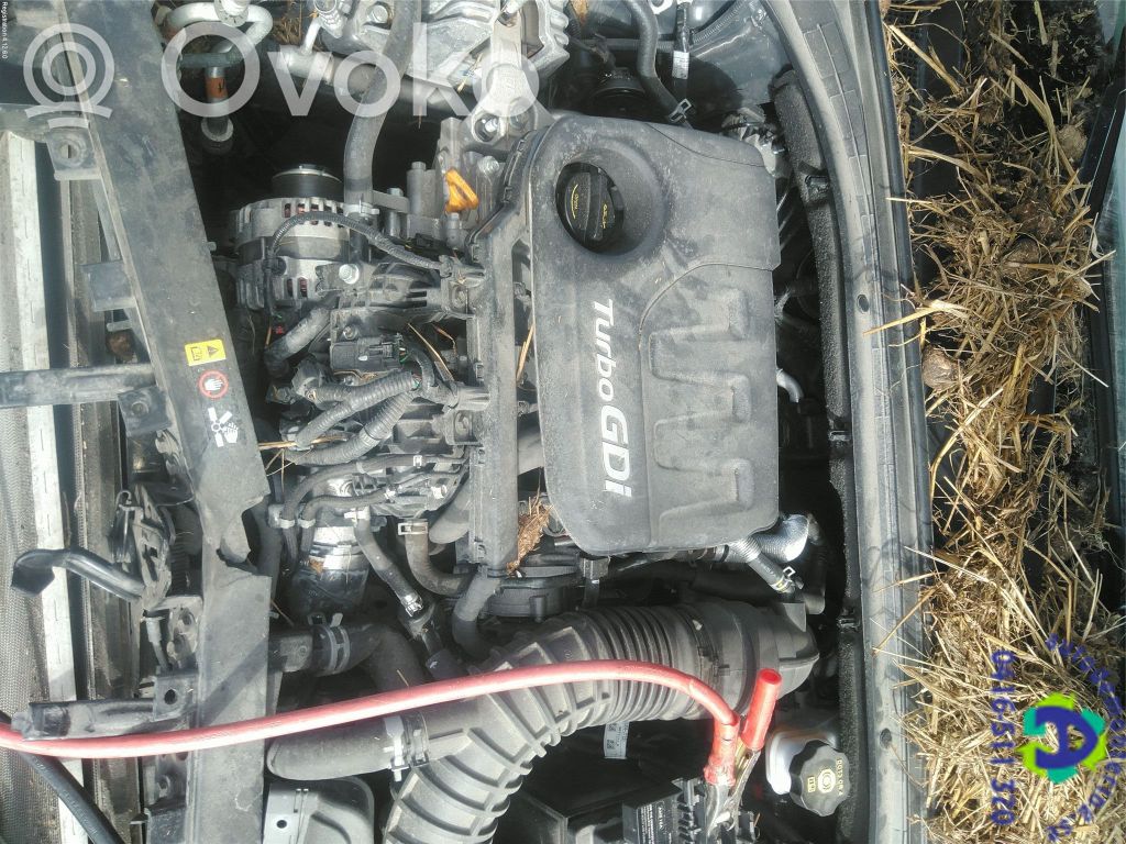Motor   38AQ104P00