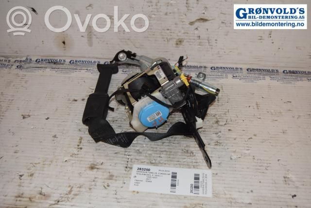 Cinturón delantero   113673805E,113673805E