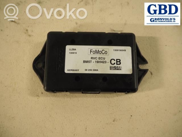 Ford Focus Other control units/modules 