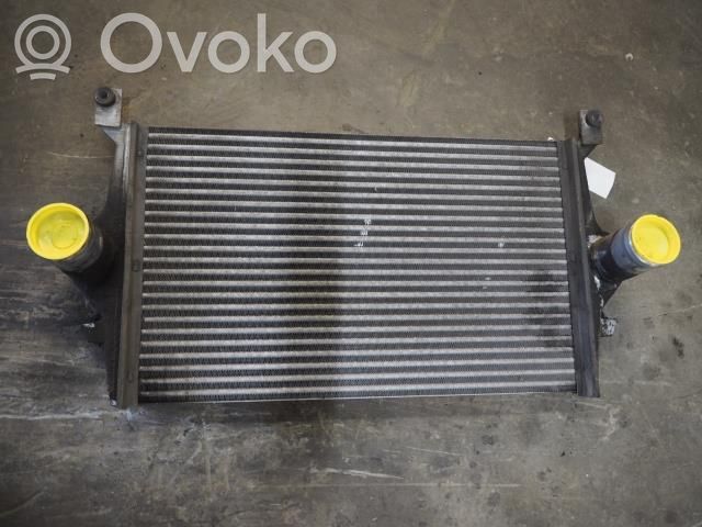 Intercooler radiator   1030218,1030218