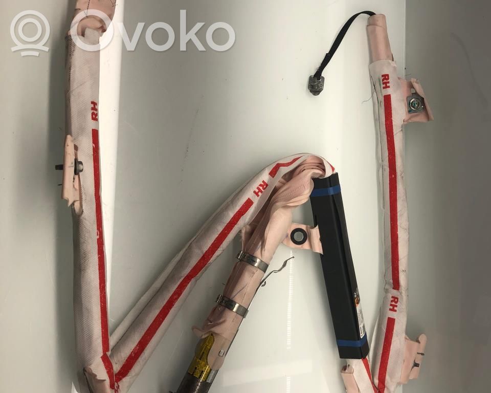 Airbag del techo   100526200C,100526200C