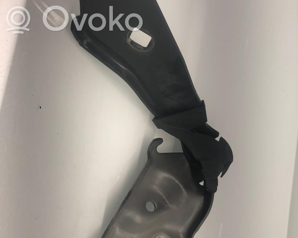 Tesla Model 3 Dzinēja pārsega eņģe (-es) 