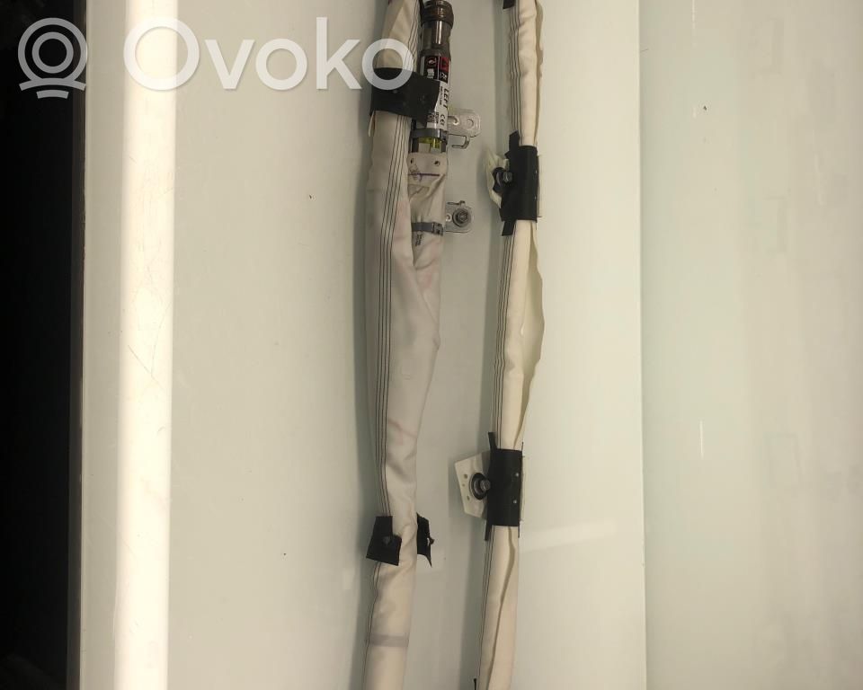 Tesla Model 3 Airbag del techo 