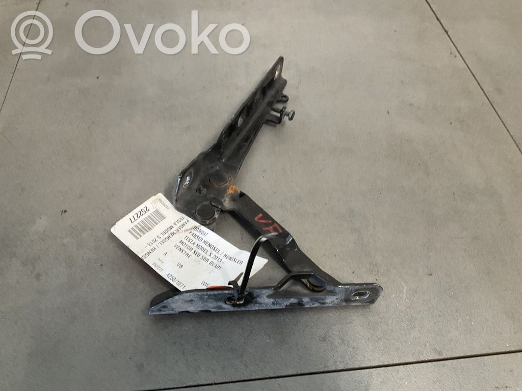 Tesla Model S Konepellin saranat 