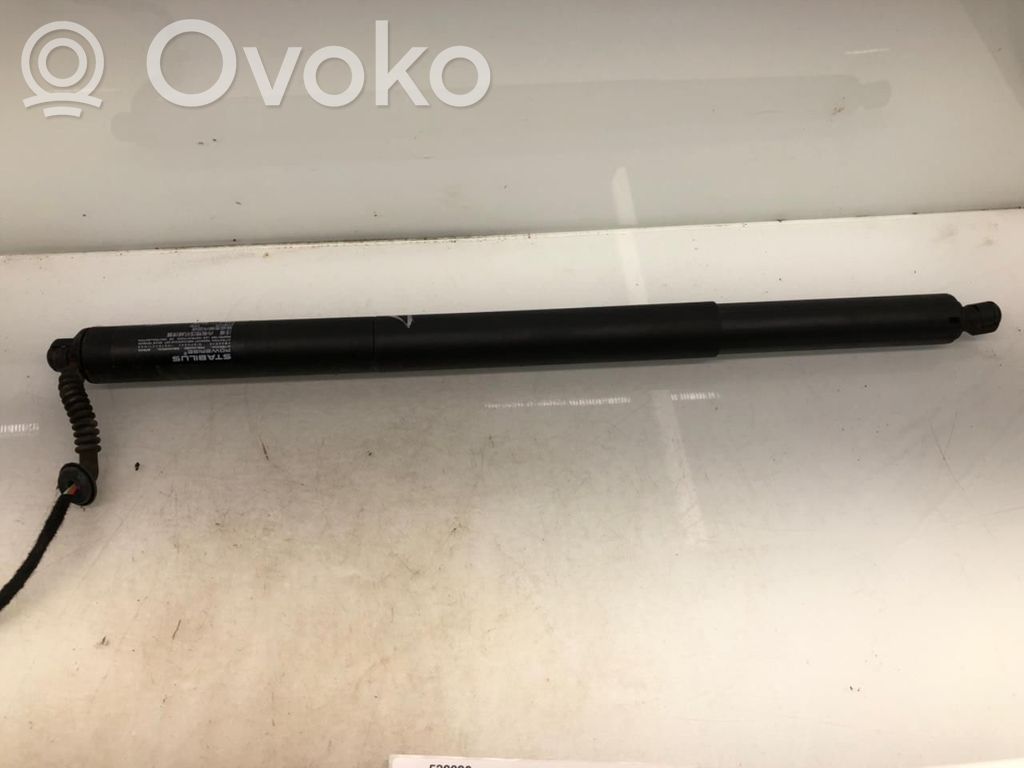 Pritraukėjas galinio dangčio   10403877,10403877