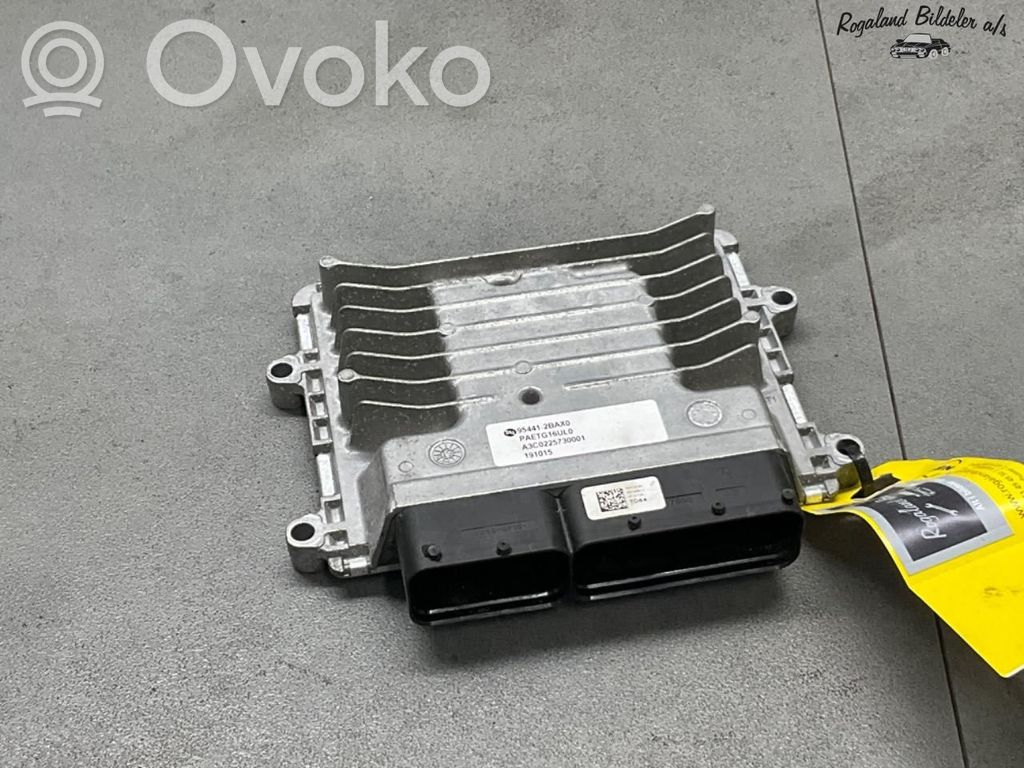 Hyundai Ioniq Komputer / Sterownik ECU silnika