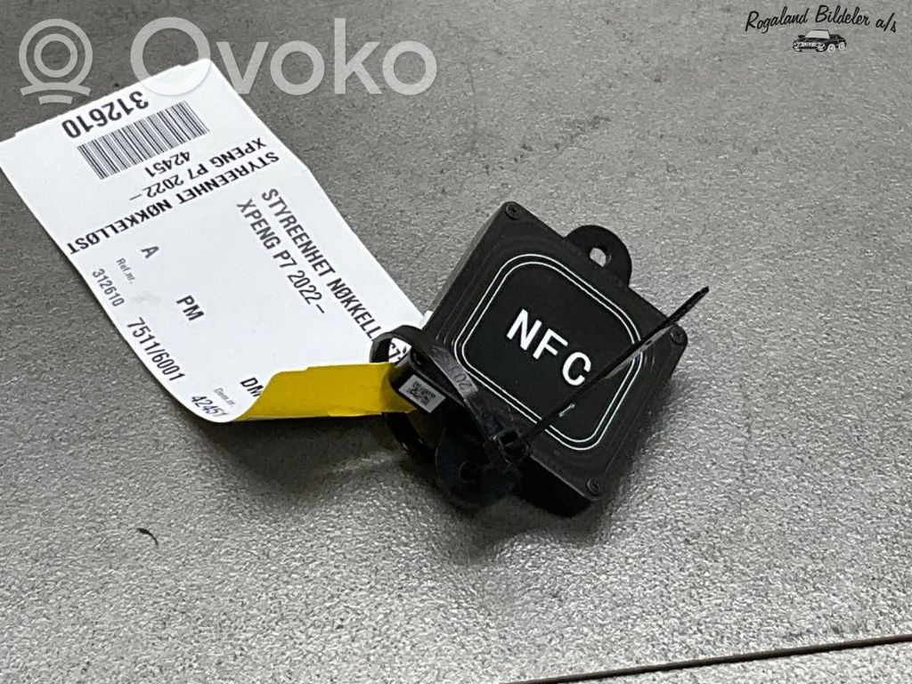 XPeng P7 Unitate/modul de control fără cheie (KESSY) 
