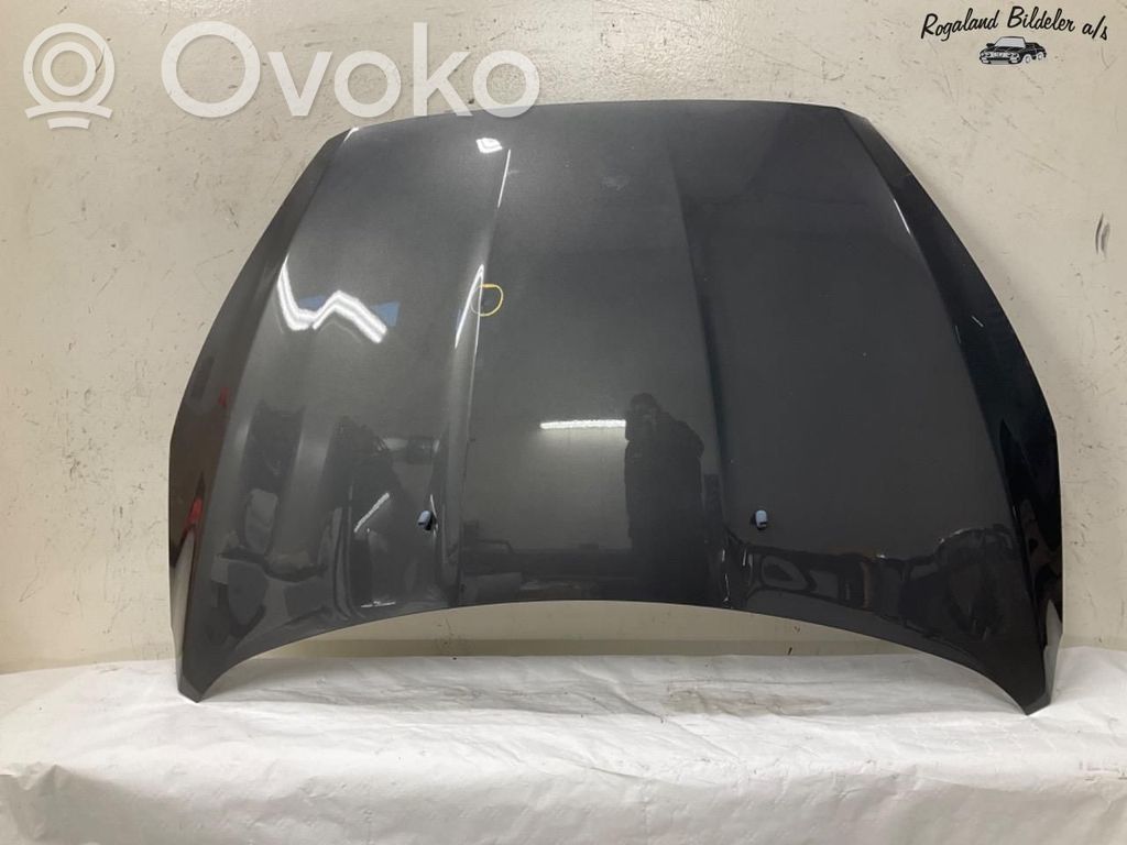 Vano motore/cofano   1852919,1852919,1852919