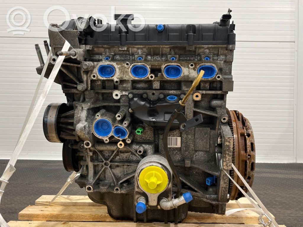 Ford C-MAX II Motor 
