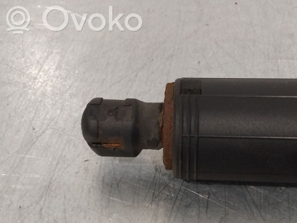 Tesla Model S Tailgate/trunk strut/damper 