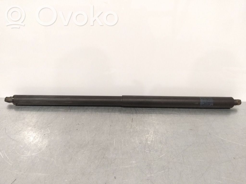 Tesla Model S Amortizor hayon 