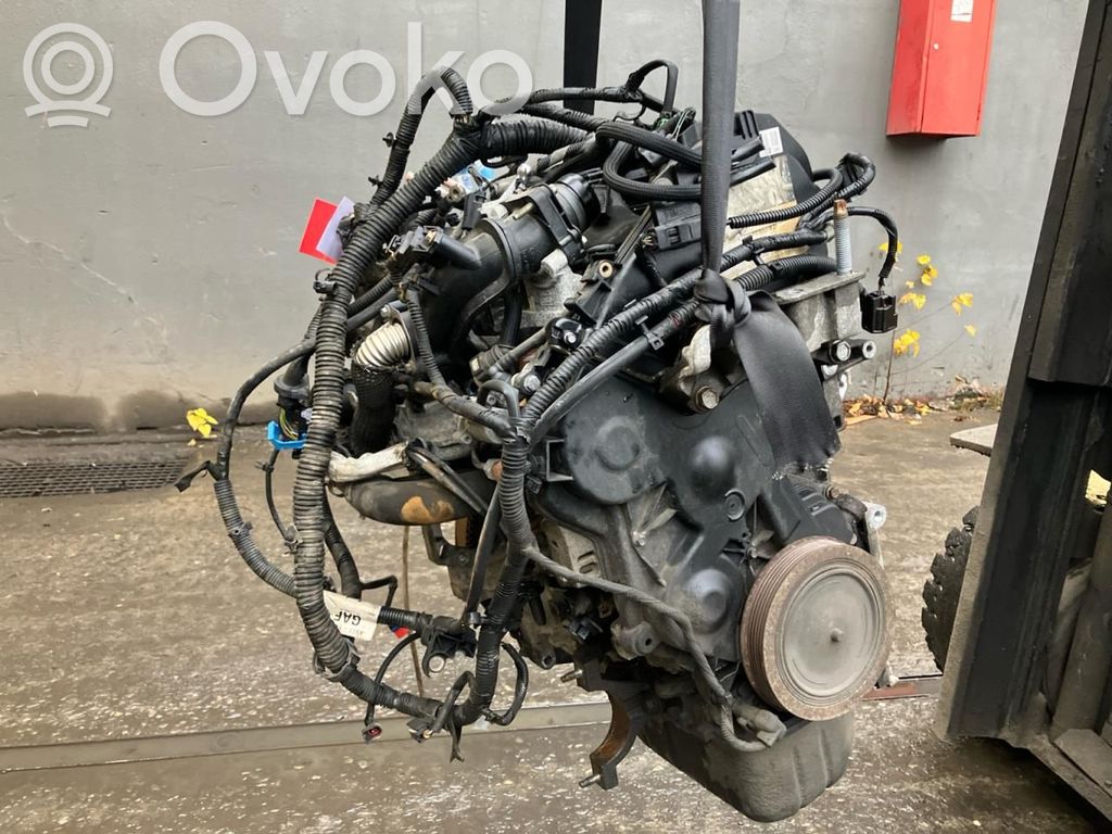 Ford Focus Engine 