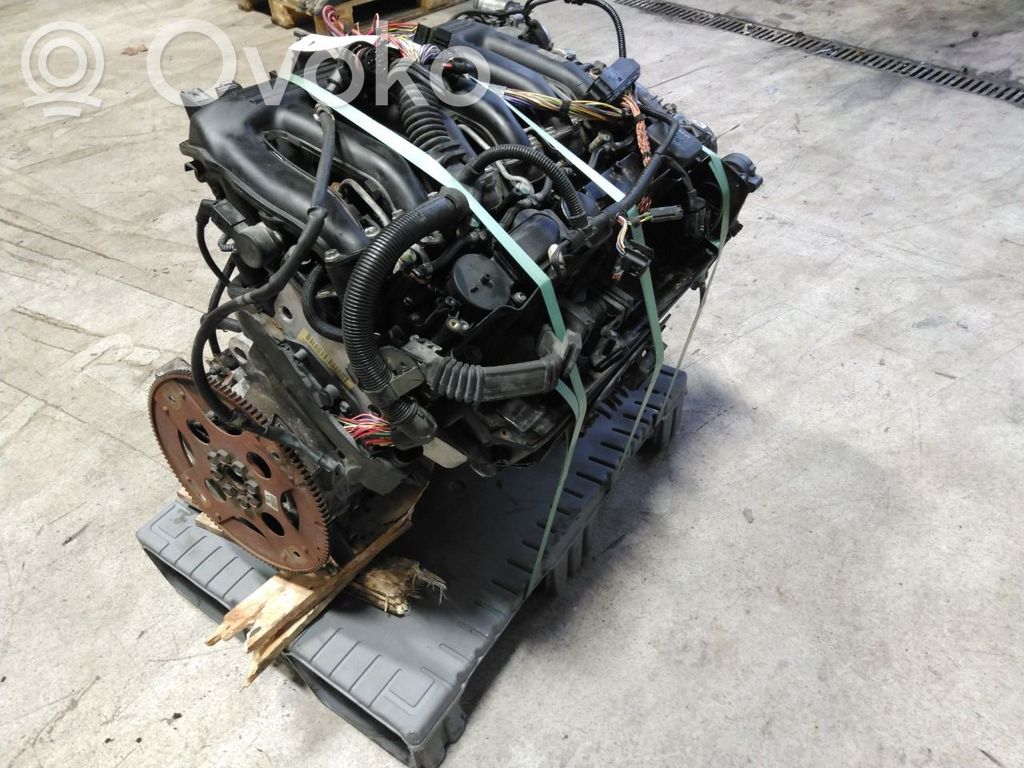 Motor   11000441301,11000441301