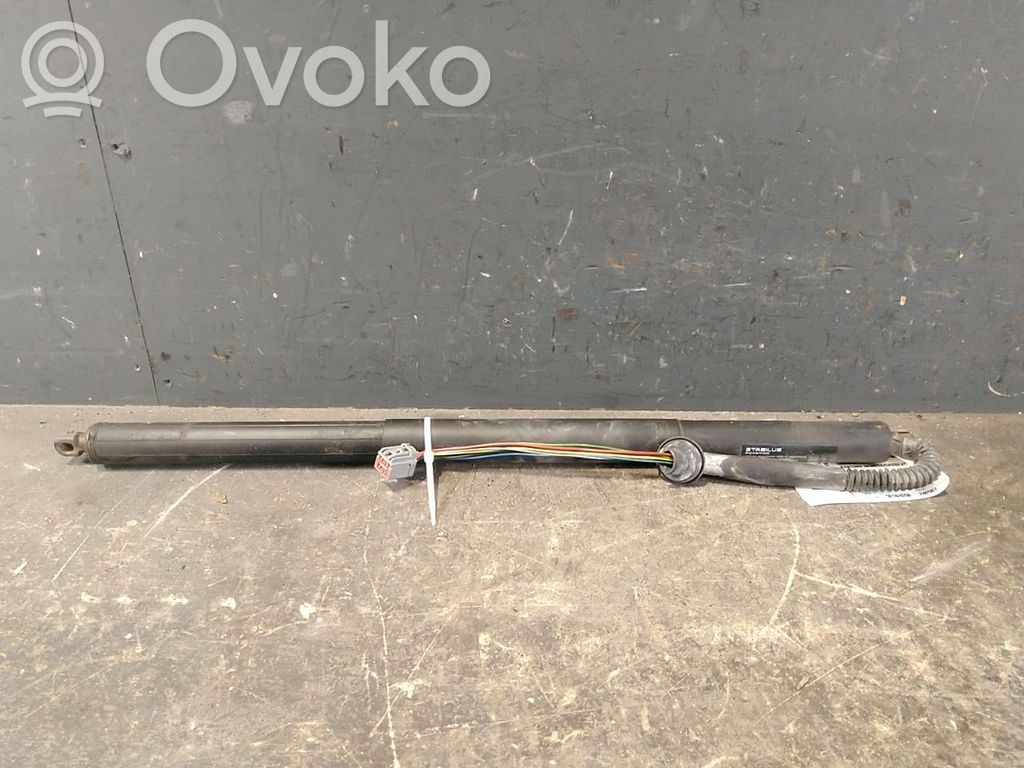Tesla Model S Ammortizzatore portellone posteriore/bagagliaio 