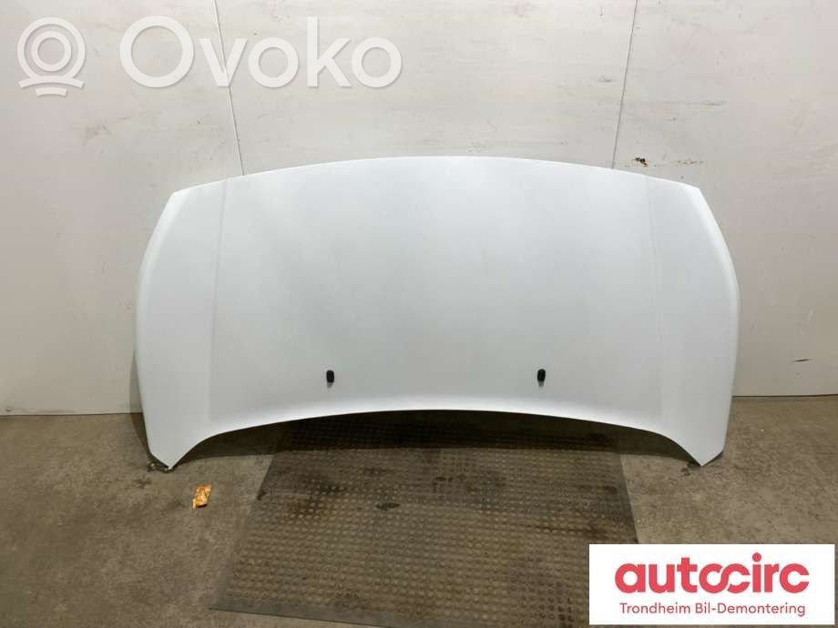 Ford Transit -  Tourneo Connect Engine bonnet/hood 
