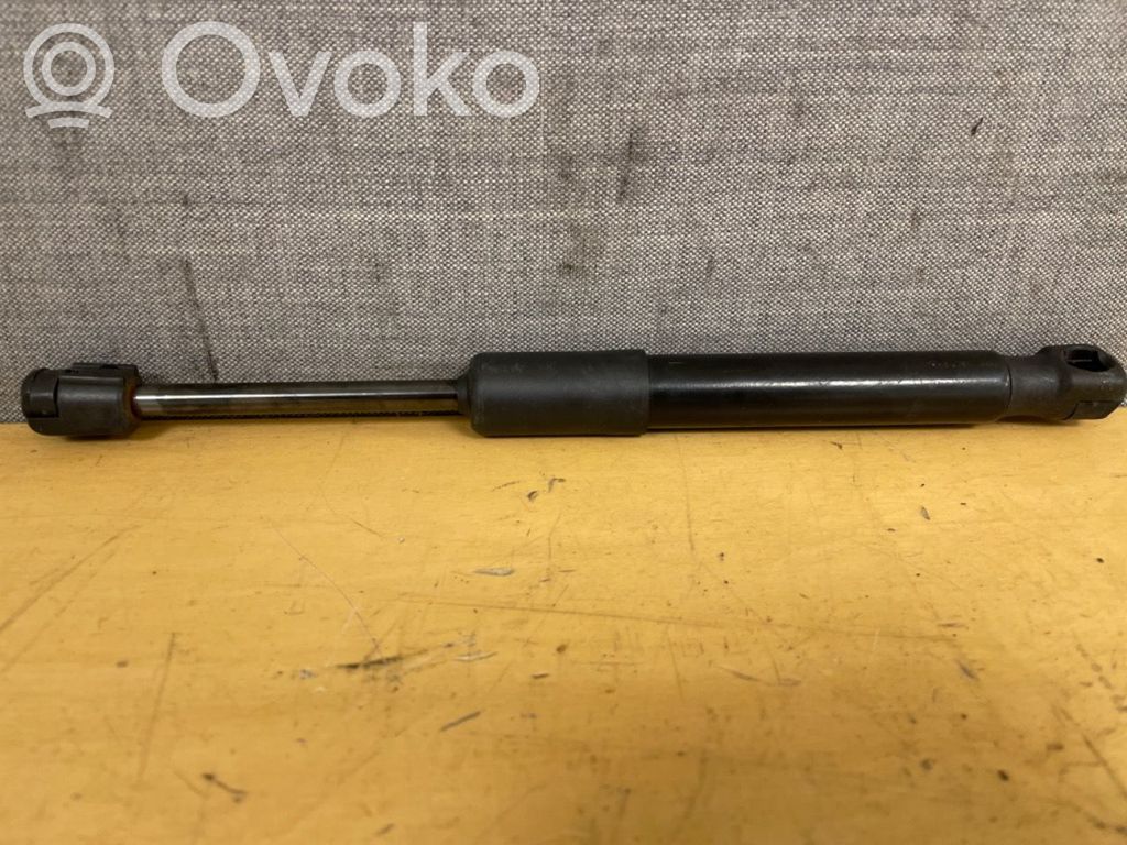 Tesla Model Y Dzinēja pārsega amortizators 