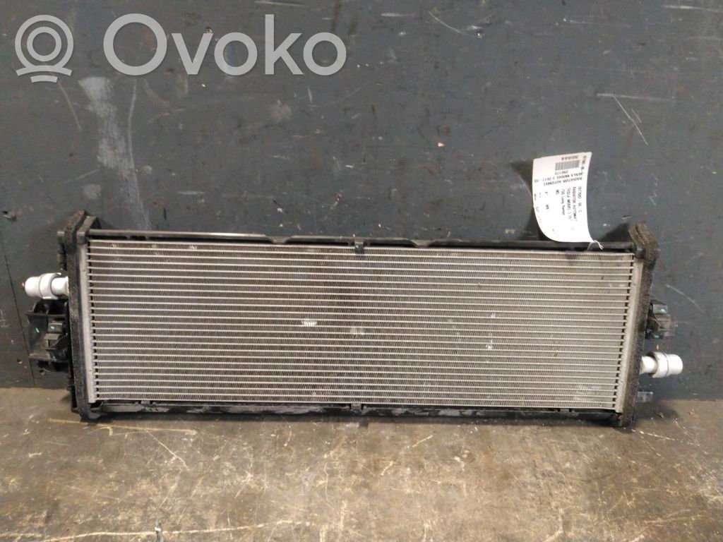 Coolant radiator   107708200C,107708200C