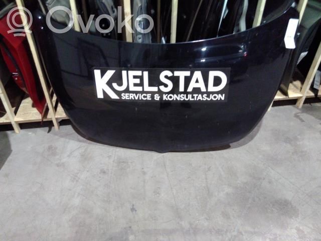 Mitsubishi Grandis Konepelti 