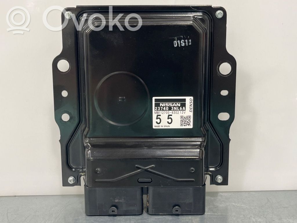 Nissan Leaf I (ZE0) Other control units/modules 