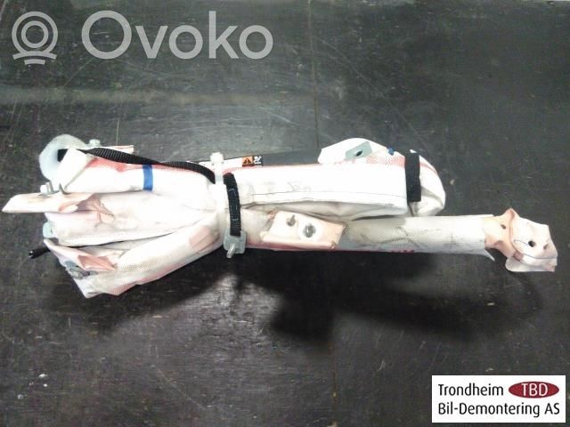 Tesla Model S Airbag del techo 