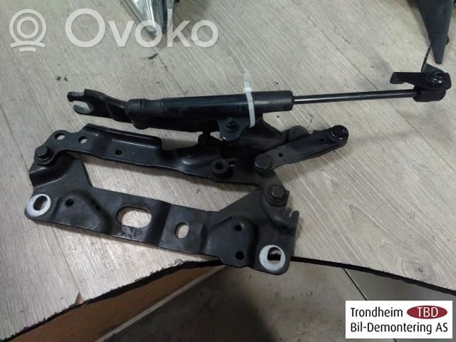 BMW 7 F01 F02 F03 F04 Balamale capotă 
