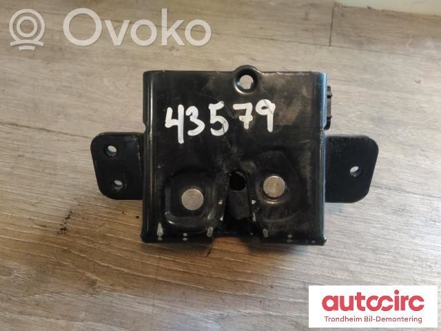 Opel Antara Spyna galinio borto 